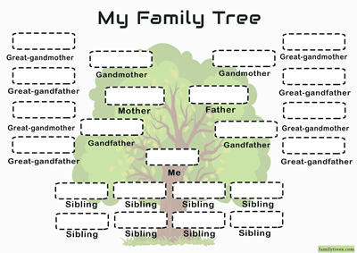4-generation-family-tree-many-siblings-template