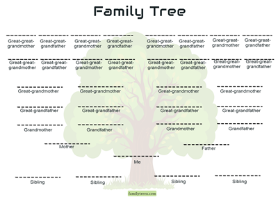 5-generation-family-tree-siblings-template