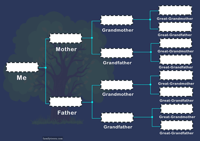family-tree-chart-blue