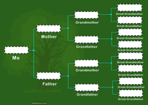 family-tree-chart-green