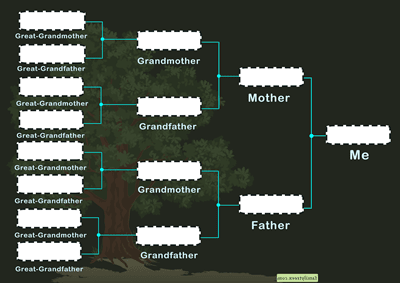 family-tree-chart-rightside
